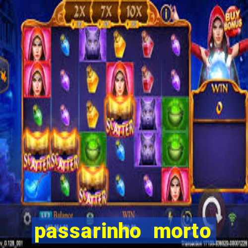 passarinho morto significado espiritual